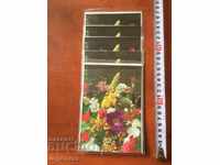 GREETING CARD AND POSTABLE ENVELOPE-5 SET