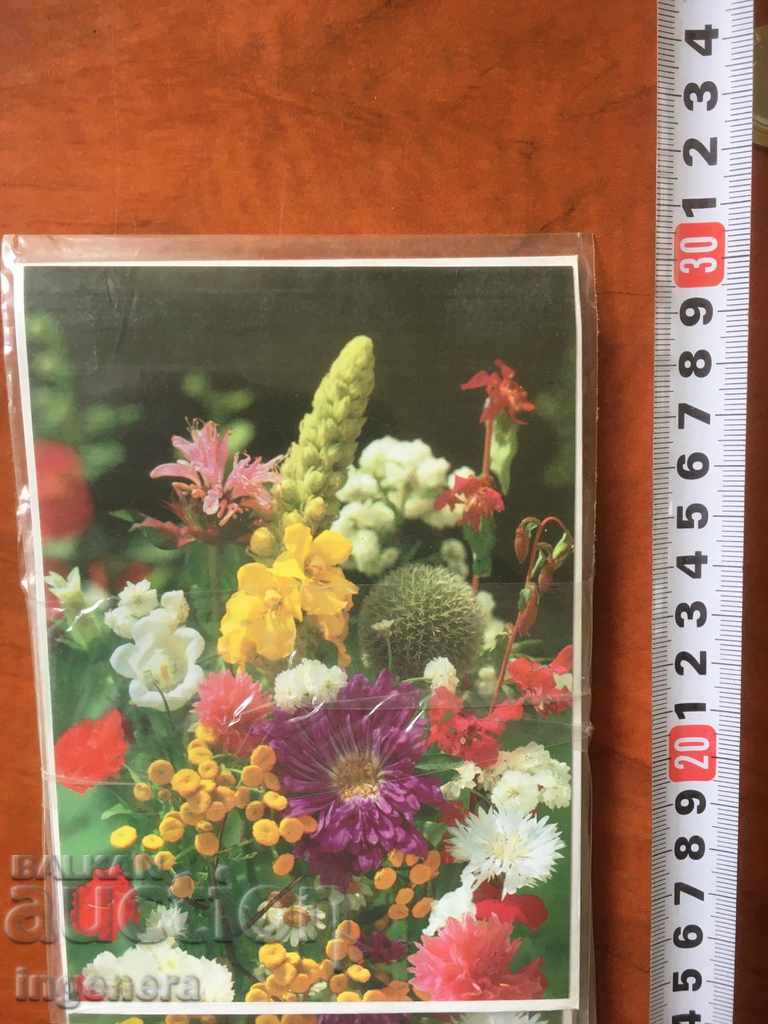 GREETING CARD AND POSTABLE ENVELOPE-5 SET with price 2.50 BGN | € 1.28 GREETING CARD AND POSTABLE ENVELOPE-5 SET with price 2.50 BGN | € 1.28