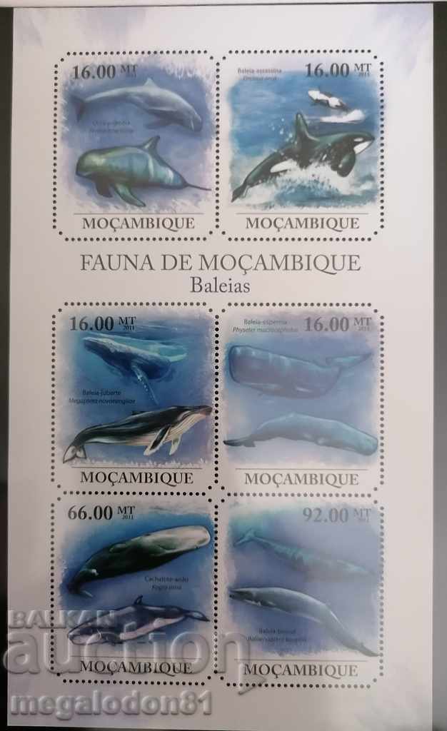 Мозамбик - китове