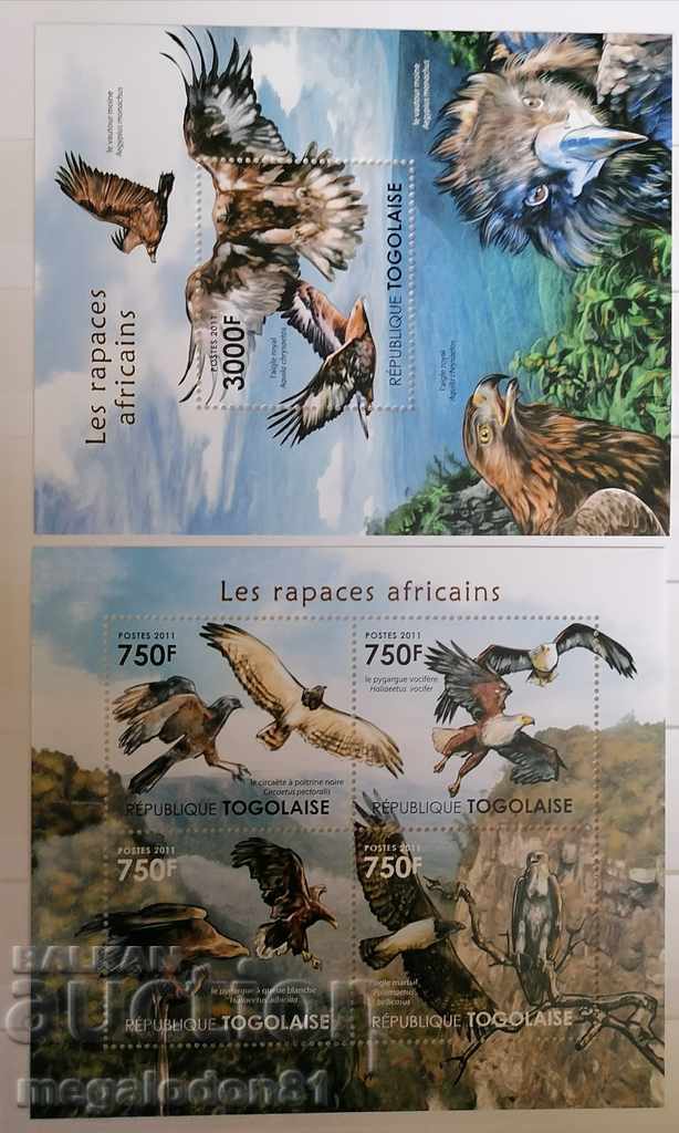 Togo - păsări de pradă