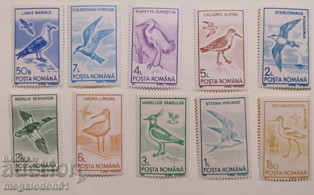 Romania - Waterfowl
