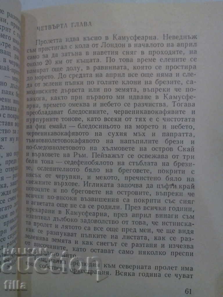 Auction Clear Water Ring - Gavin Maxwell Auction Clear Water Ring - Gavin Maxwell