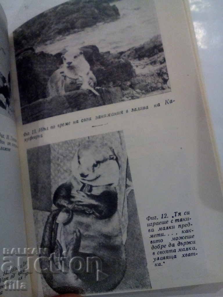 Delivery of Clear Water Ring - Gavin Maxwell Delivery of Clear Water Ring - Gavin Maxwell