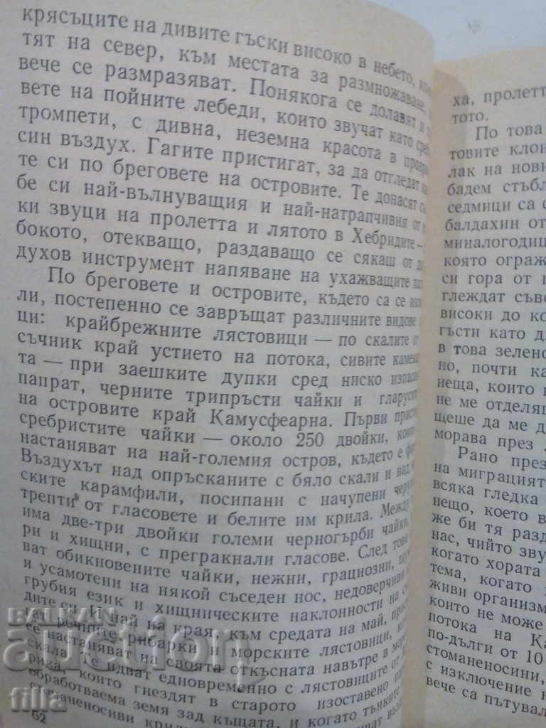 Clear Water Ring - Gavin Maxwell - 5 Clear Water Ring - Gavin Maxwell - 5