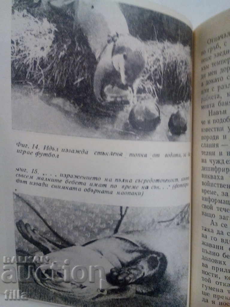 Clear Water Ring - Gavin Maxwell - 6 Clear Water Ring - Gavin Maxwell - 6