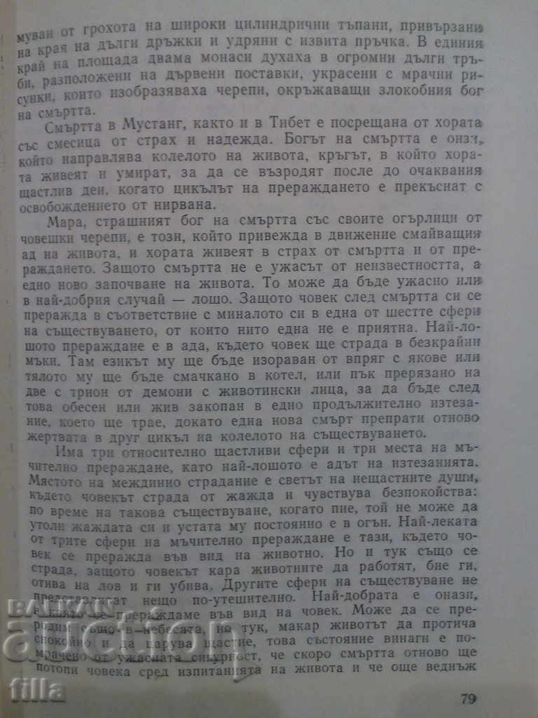 Travels on Mustang and Bhutan - Michelle Pessel - 7