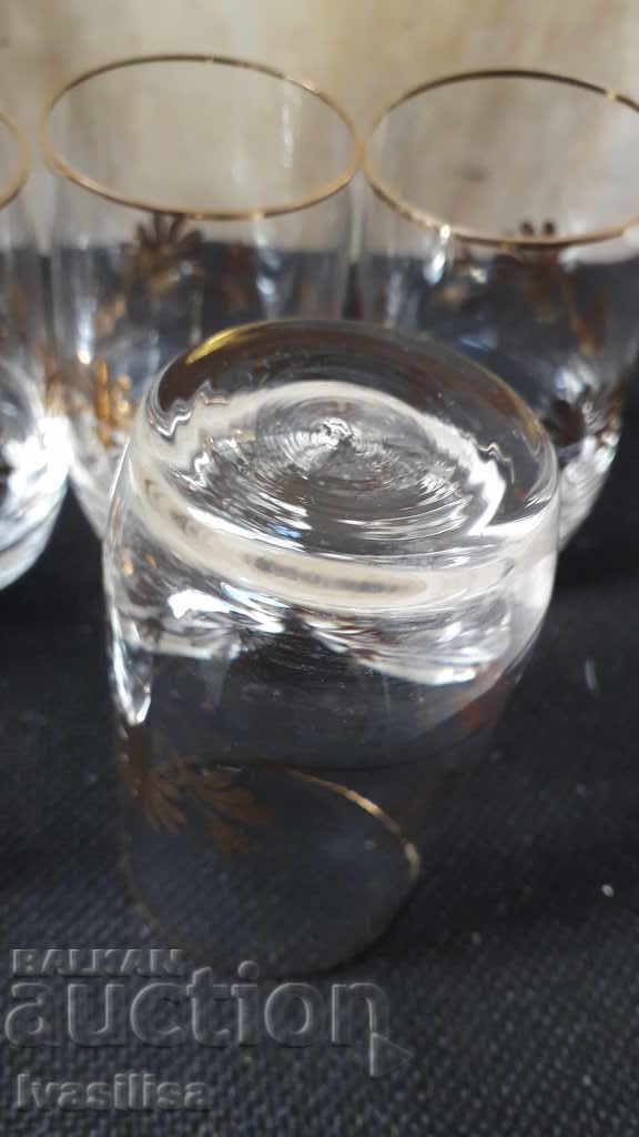 SERVICIU DE CEȘTI BOHEMIA 2 - 5