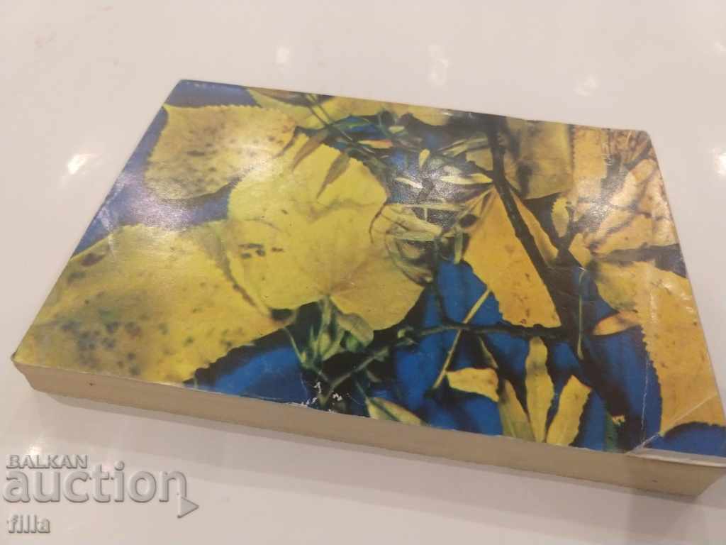 Delivery of September Roses - Andre Morea Delivery of September Roses - Andre Morea