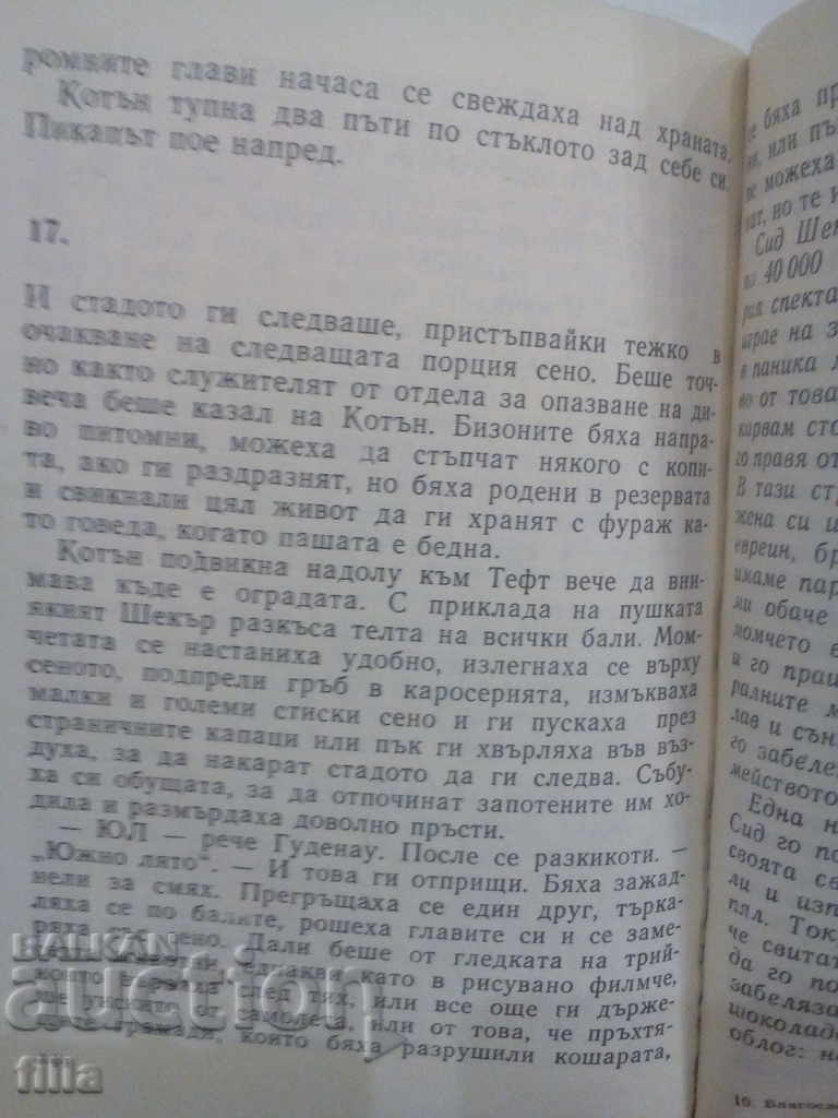 Auction Bless animals and children - Gladden Sorthaugh Auction Bless animals and children - Gladden Sorthaugh
