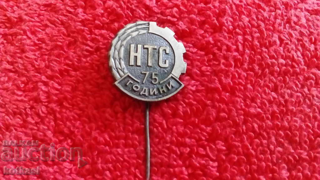 Old pin badge 75 years NTS National Technical Union excellent