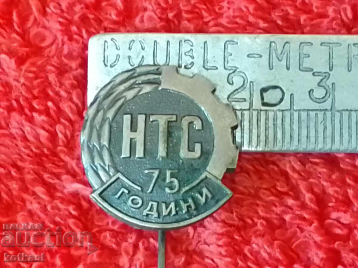 Old pin badge 75 years NTS National Technical Union excellent Old pin badge 75 years NTS National Technical Union excellent