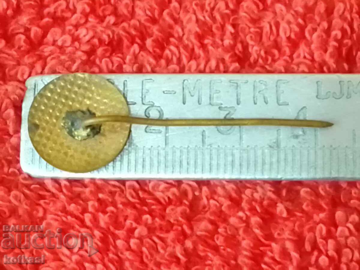 Old social badge pin TNTM Silistra excellent with price 15.50 BGN | € 7.93 Old social badge pin TNTM Silistra excellent with price 15.50 BGN | € 7.93