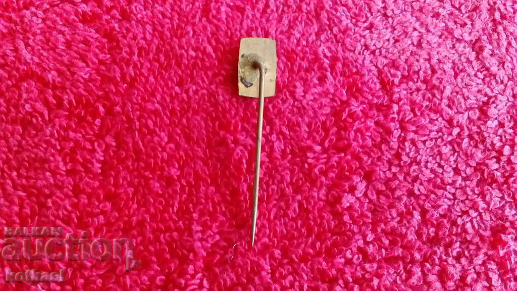 Old social sports badge bronze pin Poland - 5 Old social sports badge bronze pin Poland - 5