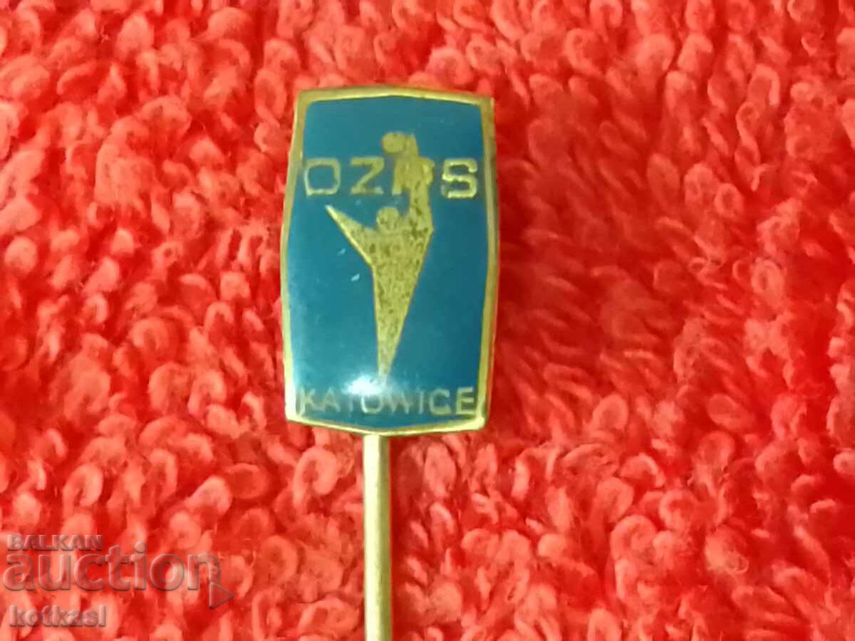 Old social sports badge bronze pin Poland - 6 Old social sports badge bronze pin Poland - 6
