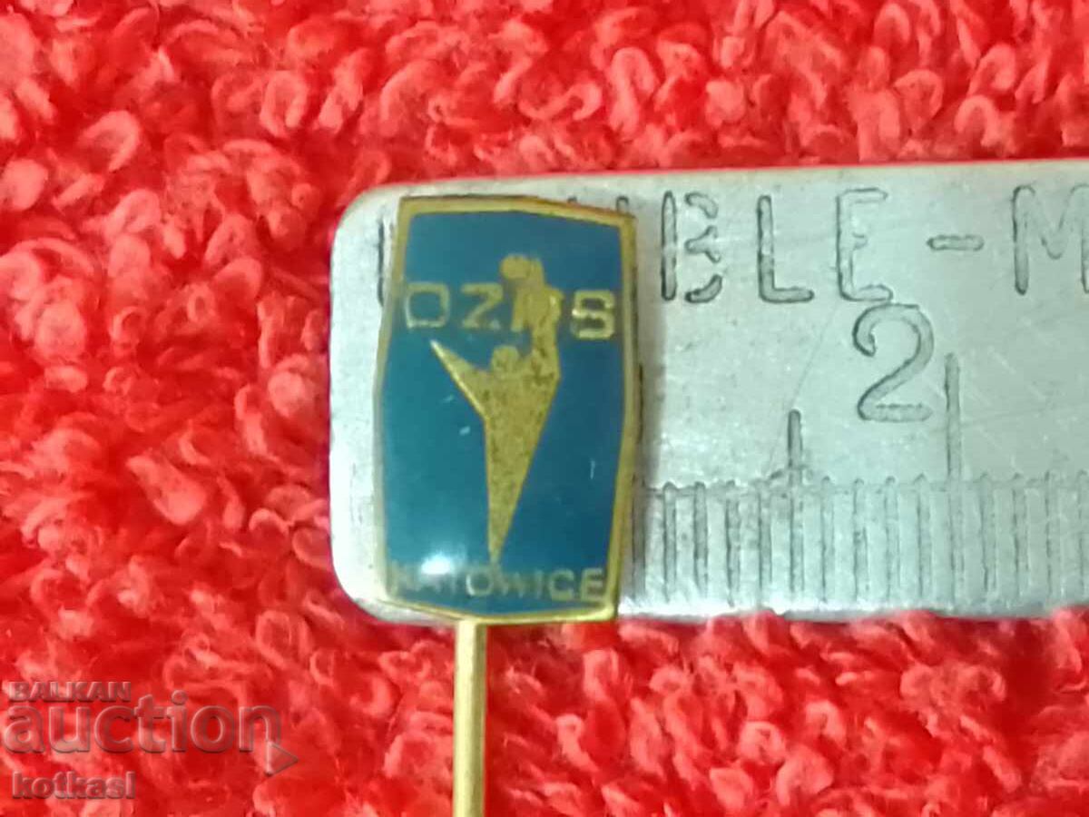 Old social sports badge bronze pin Poland Old social sports badge bronze pin Poland