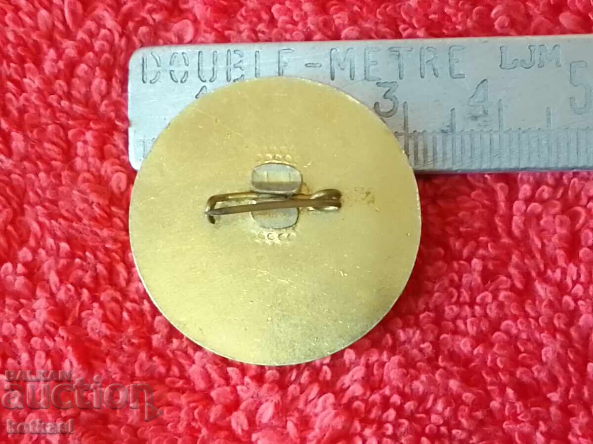 Old badge Professional House of Culture of the chemist Devnya with price 5.50 BGN | € 2.81 Old badge Professional House of Culture of the chemist Devnya with price 5.50 BGN | € 2.81