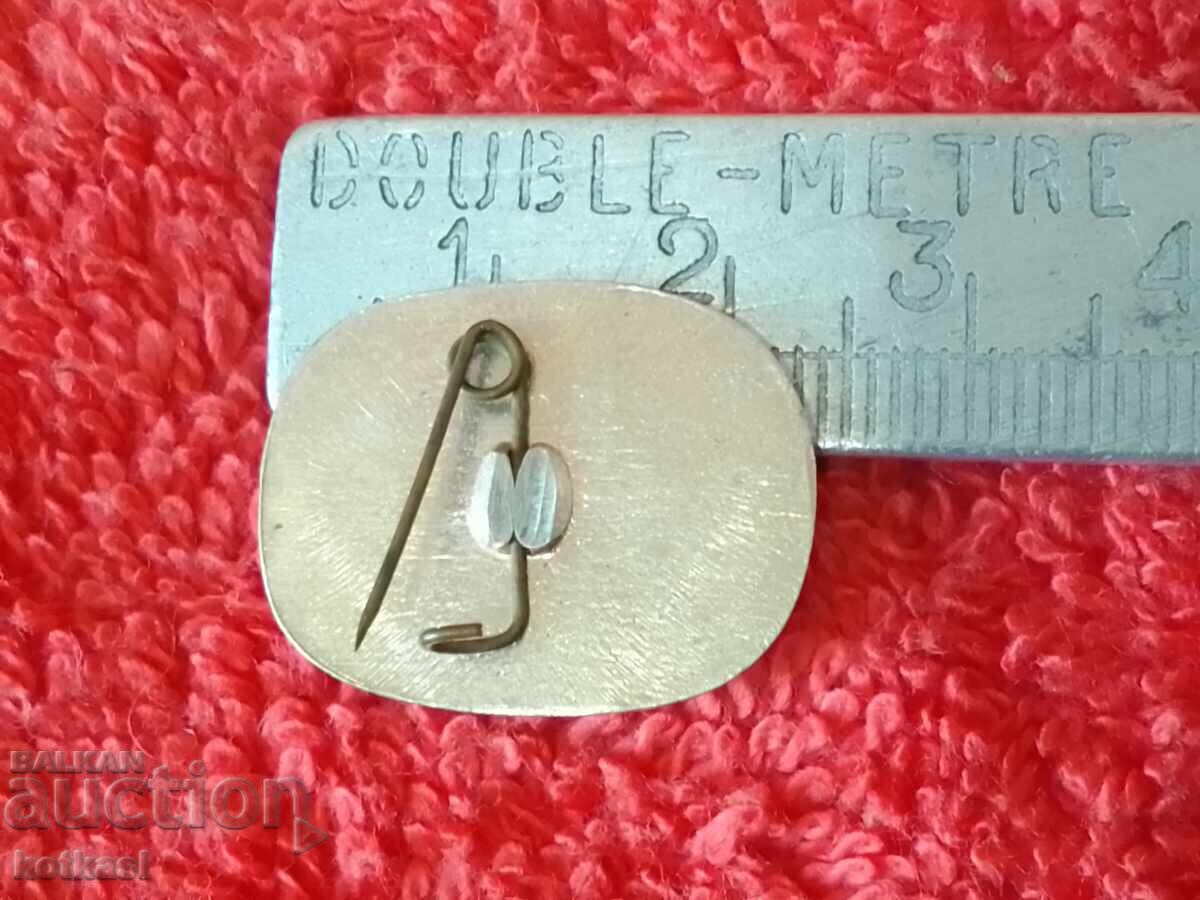 Old social badge city of KAZANLUK rose with price 3.50 BGN | € 1.79 Old social badge city of KAZANLUK rose with price 3.50 BGN | € 1.79