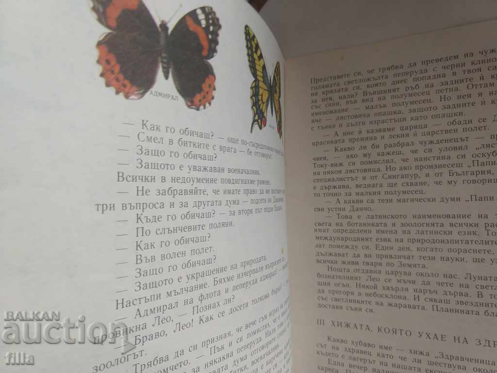 Delivery of Butterfly hunters - Asen Milchev Delivery of Butterfly hunters - Asen Milchev