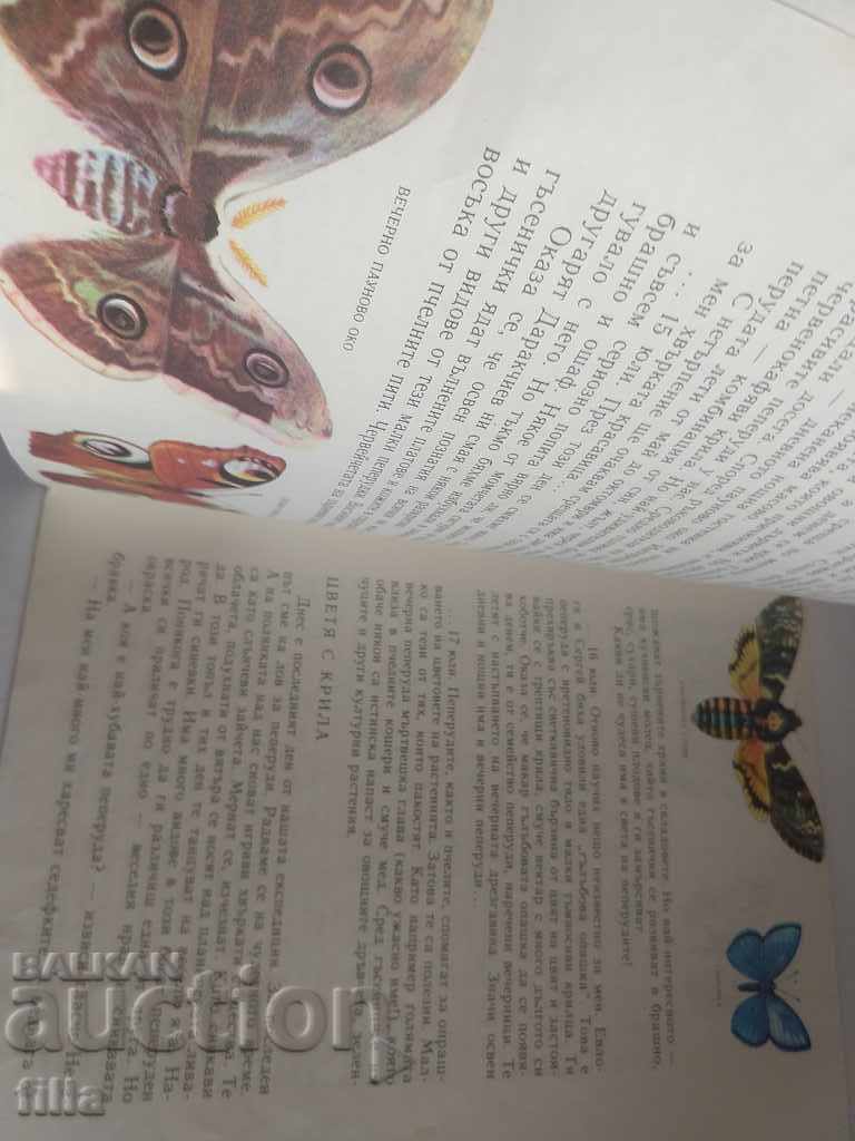 Butterfly hunters - Asen Milchev - 5 Butterfly hunters - Asen Milchev - 5