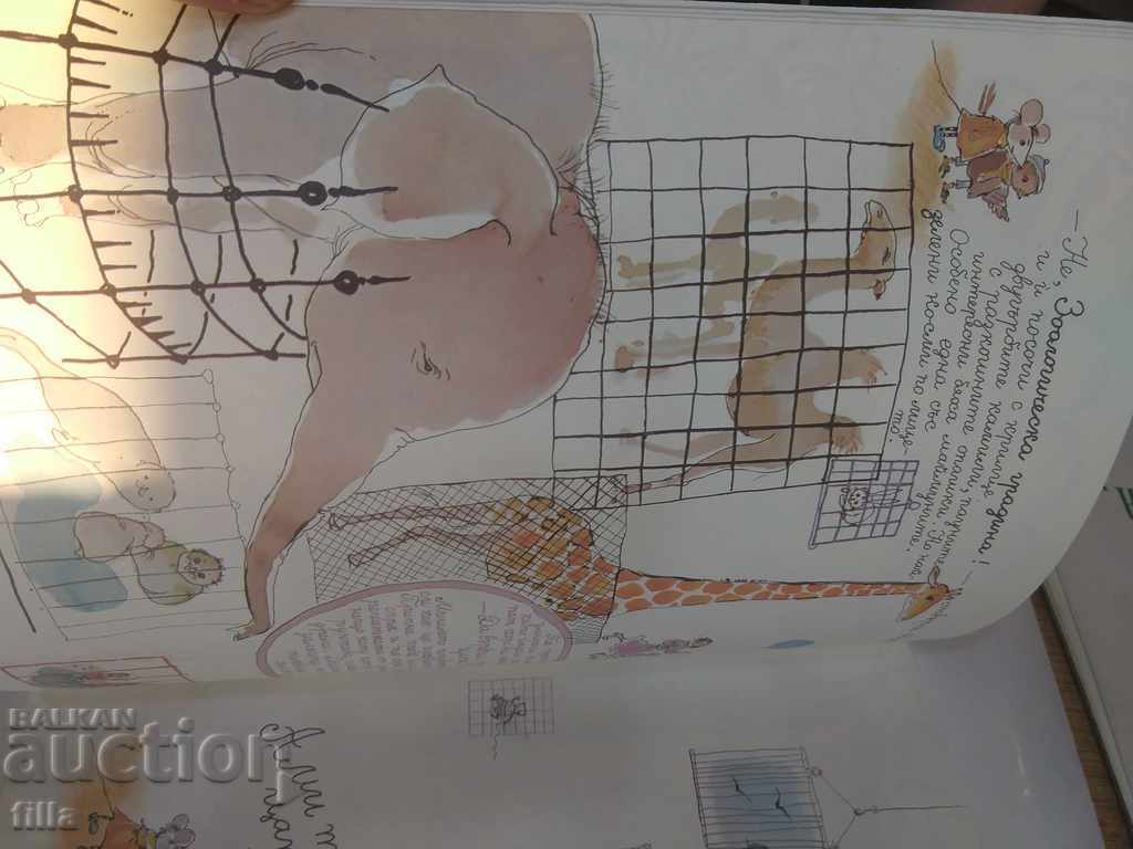 The king of animals - Yovko Kirov - 5 The king of animals - Yovko Kirov - 5