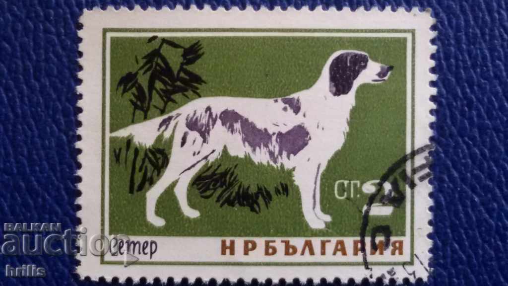 BULGARIA 1964 - FAUNA, DOG BREEDS