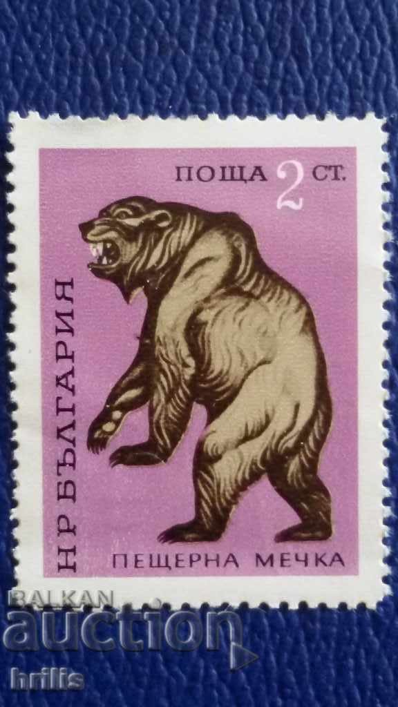 BULGARIA 1971 - FAUNA, ANIMALE DISPARITE