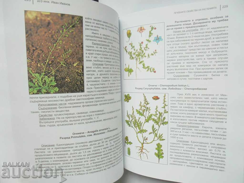 Medicinal properties of plants - Ivan Ivanov 2018 with price 80.00 BGN | € 40.90 Medicinal properties of plants - Ivan Ivanov 2018 with price 80.00 BGN | € 40.90