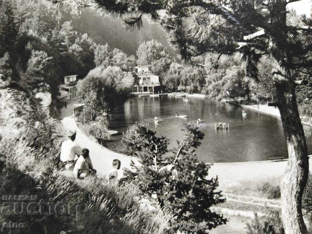 Velingrad 1962, old postcard with price 15.00 BGN | € 7.67