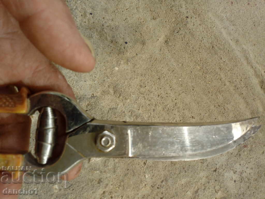 Auction  Chicken shears