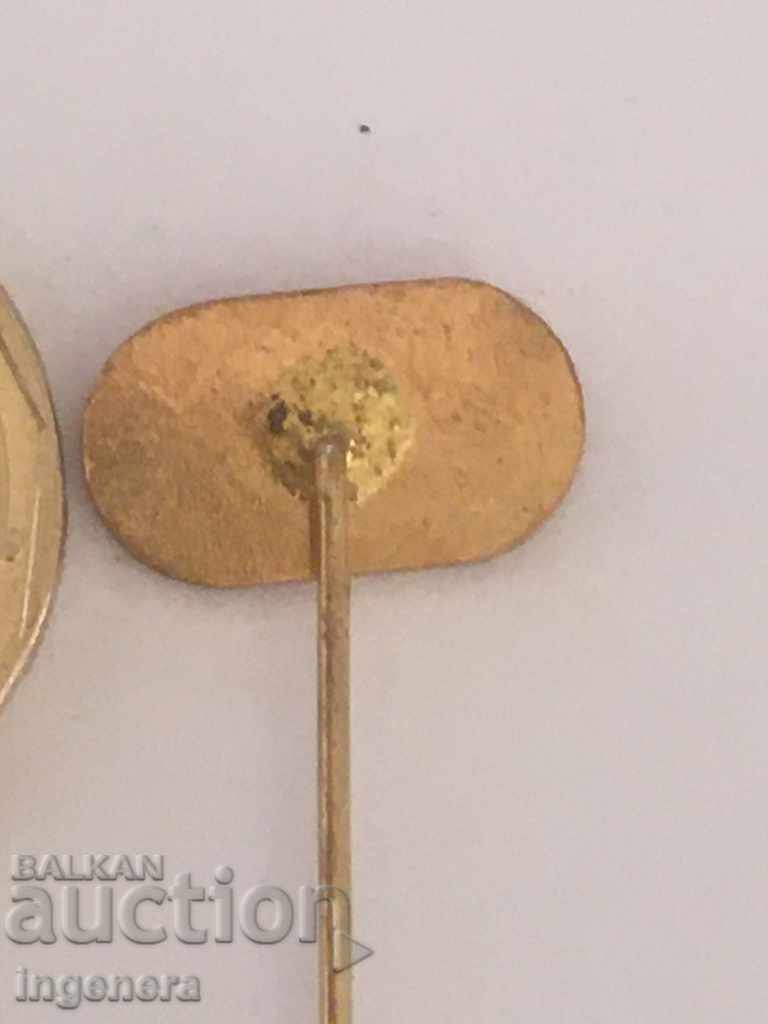 Auction SIZE Auction SIZE