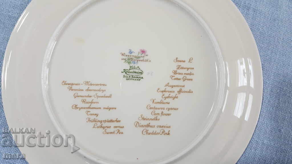 Porcelain plates - Bavaria - 7 Porcelain plates - Bavaria - 7