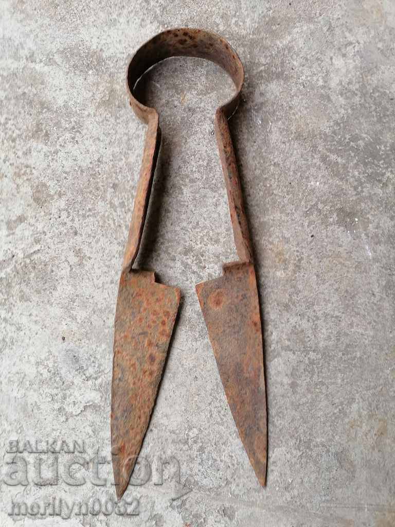 Old scissors for shearing sheep, forged iron, blade - 5 Old scissors for shearing sheep, forged iron, blade - 5
