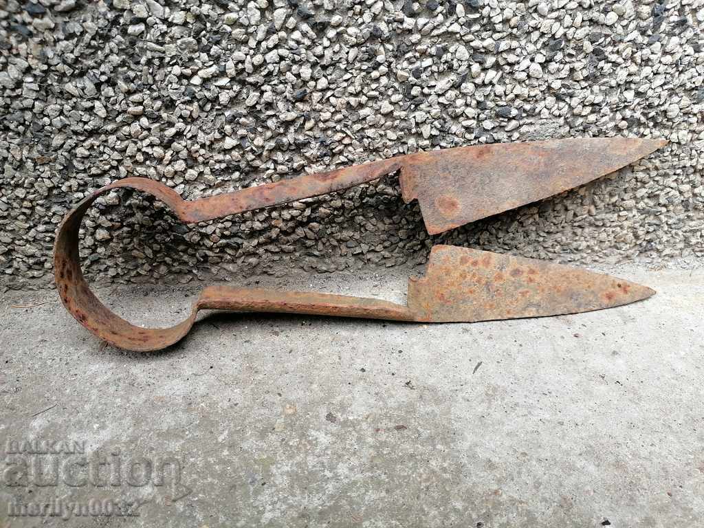 Old scissors for shearing sheep, forged iron, blade - 7 Old scissors for shearing sheep, forged iron, blade - 7