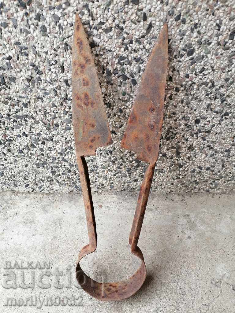 Old scissors for shearing sheep, forged iron, blade