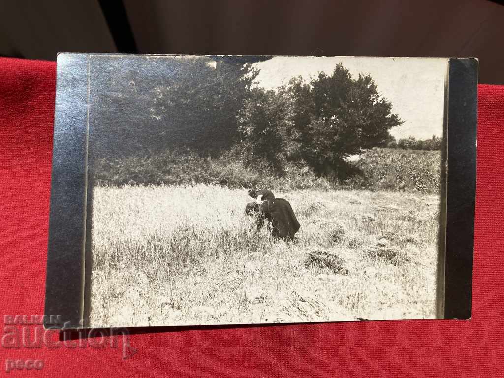 Delivery of Reapers in Hissarya, Plovdiv Old photo Delivery of Reapers in Hissarya, Plovdiv Old photo
