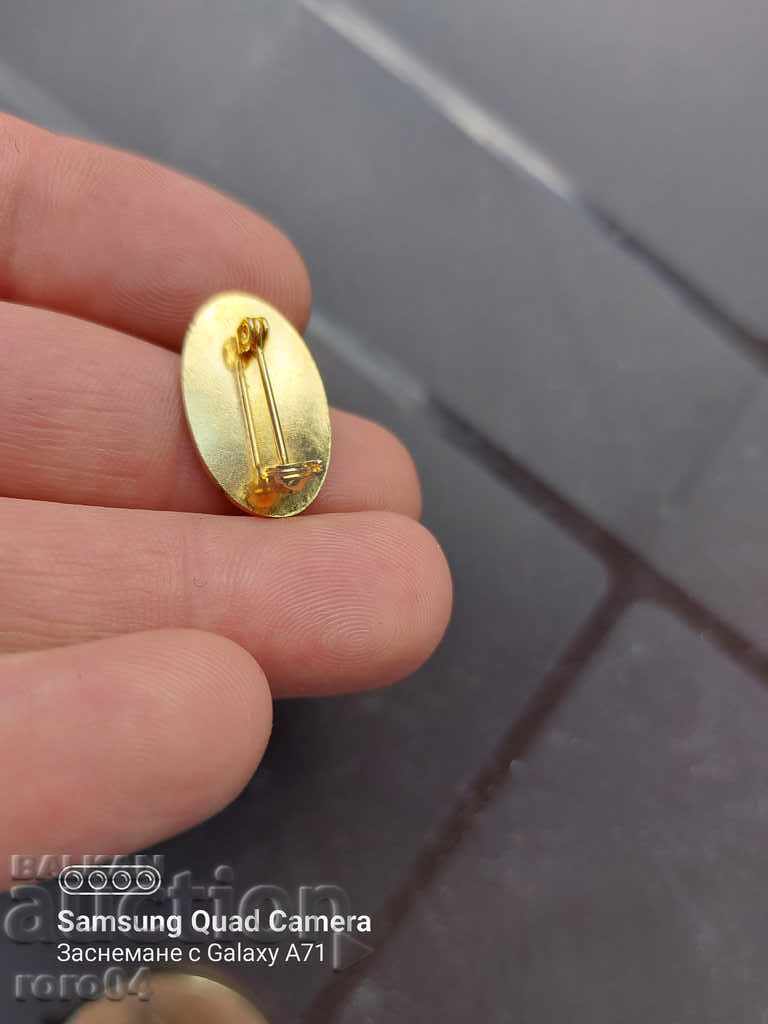 HUNTING MOUNT - 6 HUNTING MOUNT - 6