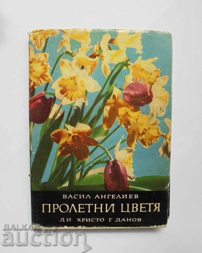 Пролетни цветя - Васил Ангелиев 1964 г.