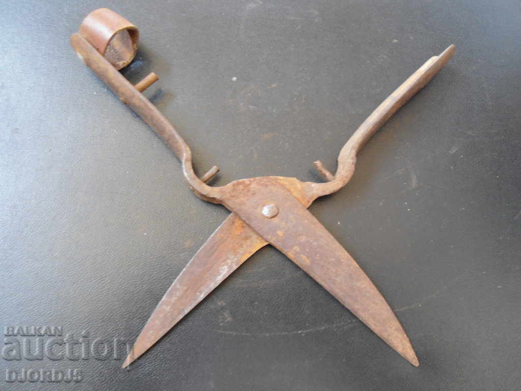Auction Old forged scissors Auction Old forged scissors