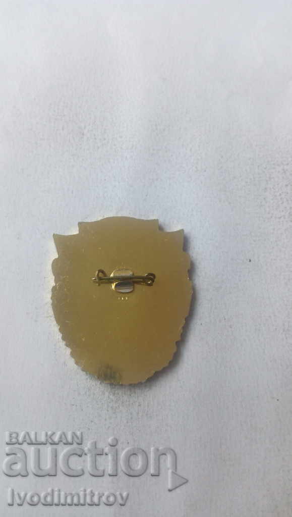 Badge Champion NTP Territory of youth audacity with price 3.45 BGN | € 1.76 Badge Champion NTP Territory of youth audacity with price 3.45 BGN | € 1.76