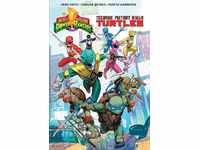 Megamorphic Power Rangers - Ninja Turtles