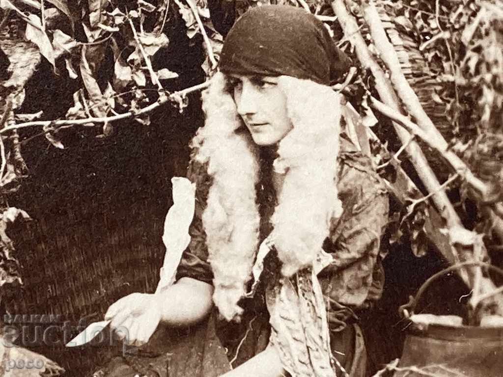 Аукцион Гледачка на карти Стара снимка