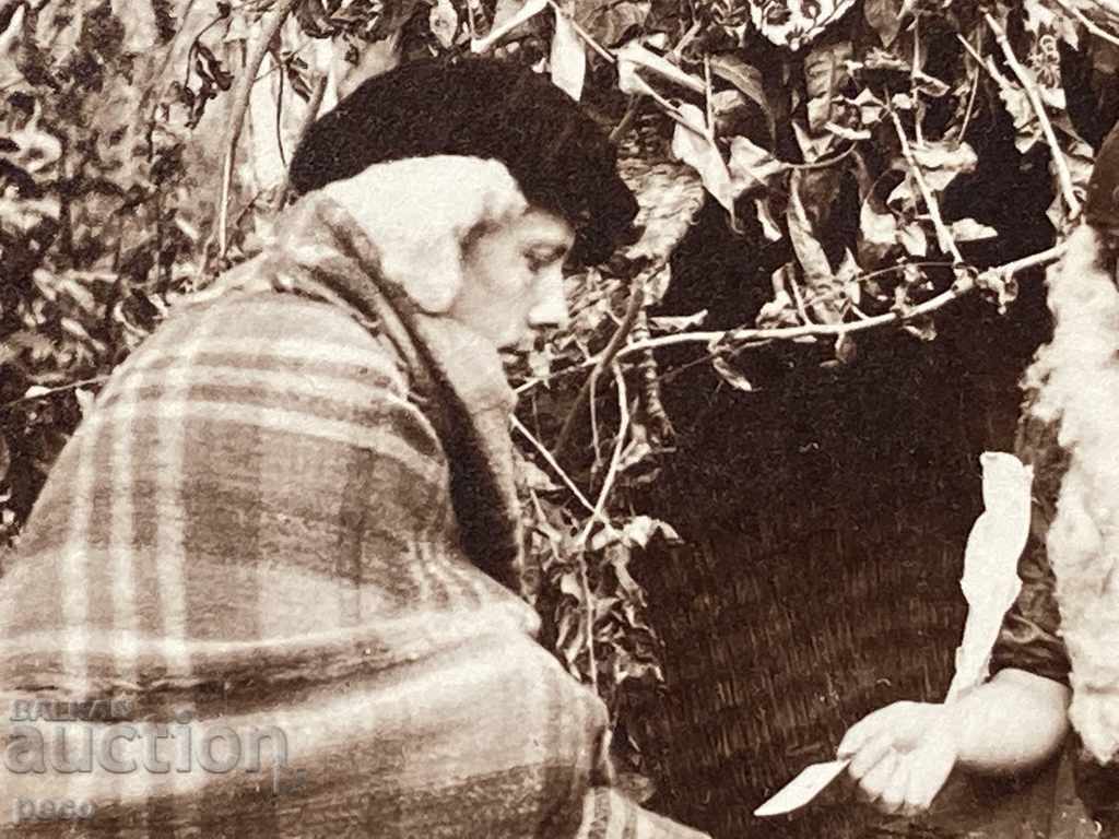 Доставка на Гледачка на карти Стара снимка