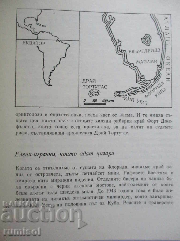 Auction  Island after island - Sven Yilseter