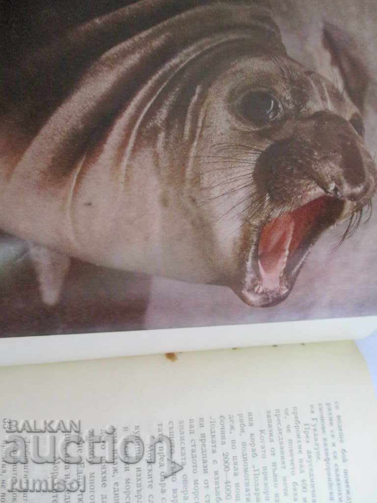 Остров след остров - Свен Йилсетер - 6