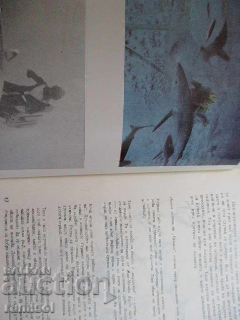 Delivery of The Sharks - Jacques-Eve and Philip Cousteau Delivery of The Sharks - Jacques-Eve and Philip Cousteau