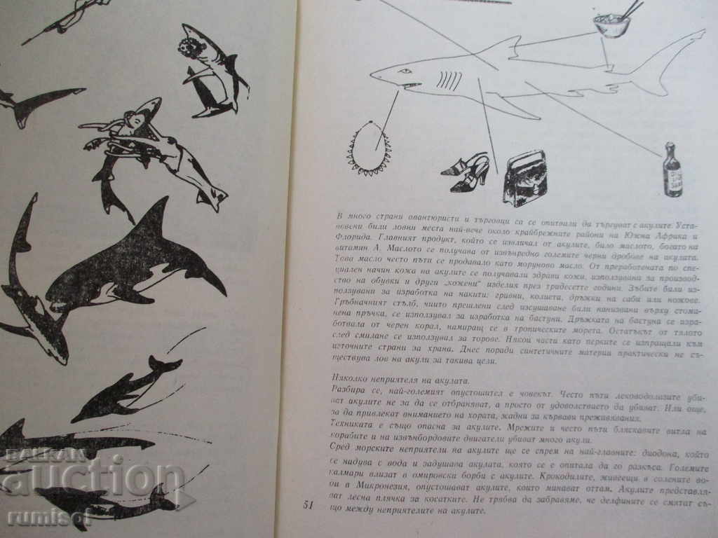 Акулите - Жак-Ив и Филип Кусто - 6 Акулите - Жак-Ив и Филип Кусто - 6