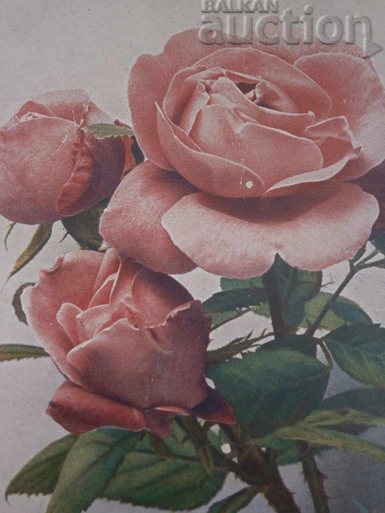 old postcard PSV WW1 WWI with price 25.00 BGN | € 12.78 old postcard PSV WW1 WWI with price 25.00 BGN | € 12.78