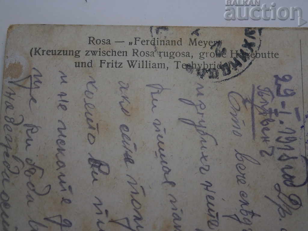 Auction old postcard PSV WW1 WWI Auction old postcard PSV WW1 WWI