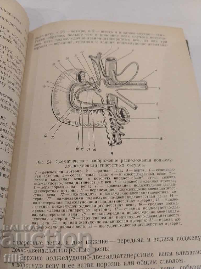 Medicine, Surgical treatment of diseases - 5 Medicine, Surgical treatment of diseases - 5