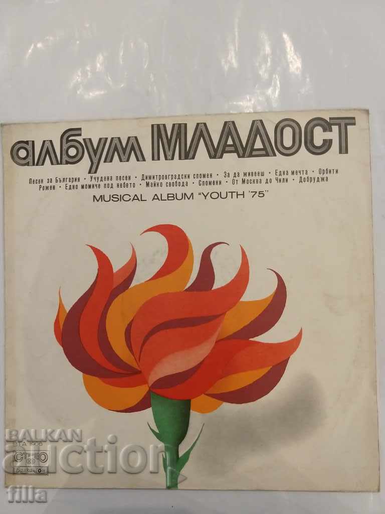 Плоча, Музикален албум Младост '75, ВТА 1906